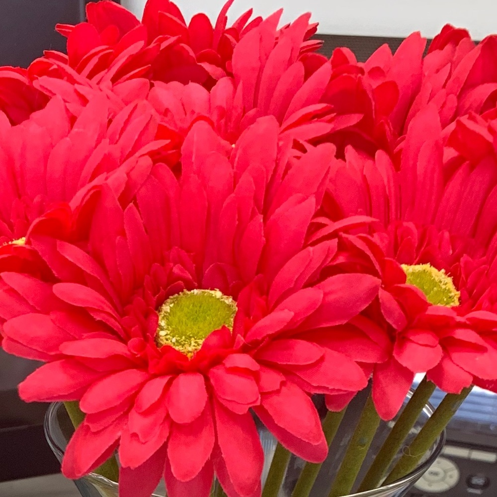 Meet your Posher, Ronsa